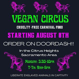  at Vegan Circus in Sacramento