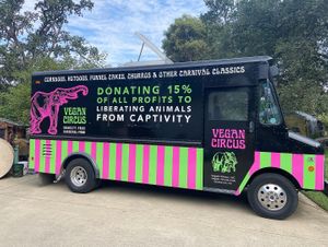  at Vegan Circus in Sacramento