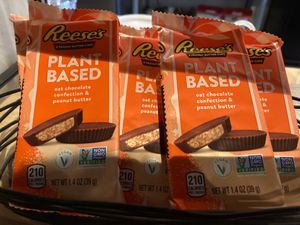  at Coffee Lab in Crested Butte