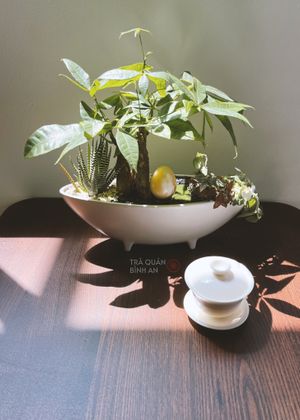   at Tea House of Peace in Da Nang