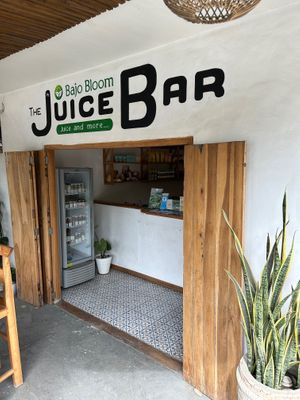  at The Juice Bar by Bajo Bloom in 