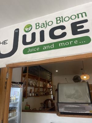   at The Juice Bar by Bajo Bloom in 