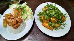 left beef steak and rice (if you like fake meat and not real meat, don't eat this... its very beefy) 

Left is tofu with lemongrass and chili sauce. The sauce was pretty bland but the tofu is coated in egg which was all I could taste at Bo De  in Nha Trang