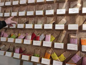 Artisanale chocolate at La Cabosse Enchantée in La Rochelle