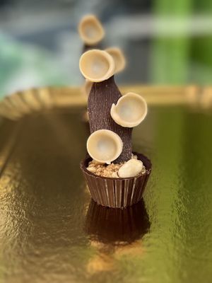 Bouchée de mai, praliné cacahuète et chocolat noir 💋  at La Cabosse Enchantée in La Rochelle