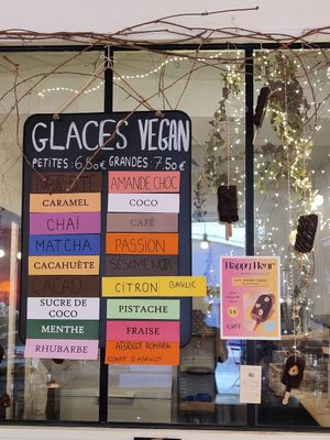 Ice cream flavours at La Cabosse Enchantée in La Rochelle