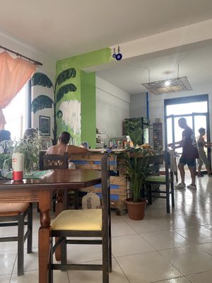   at Green Life Market in Sarande