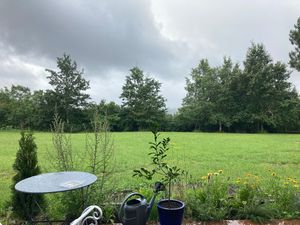 View from the terrace at A Bedat Life in Saint-aubin-de-branne