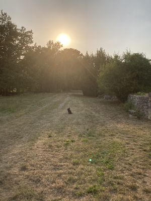   at A Bedat Life in Saint-aubin-de-branne