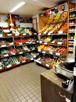 Biological vegetables & fruit at Stichting Stadsboerderij De Wiershoeck in Groningen
