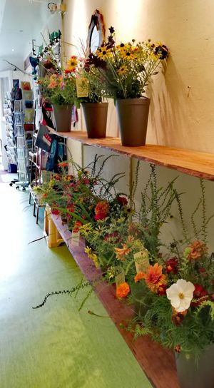 Bouquets from their garden at Stichting Stadsboerderij De Wiershoeck in Groningen