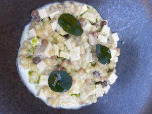 Pearl barley with coconut milk and tofu. It tasted pretty awesome  at L'Evangelista Ristorante & Enoteca in Verona