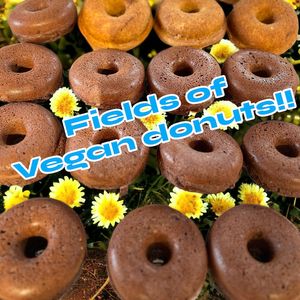 House-made vegan donuts. Cinnamon rolls and treats from Syd Delicious of Halifax at Last Chance Sandwich in Cheticamp