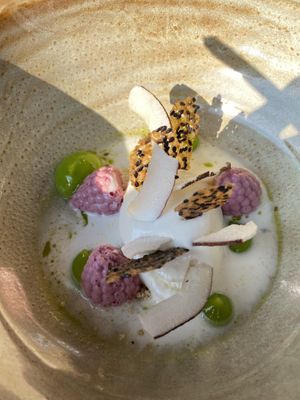 Vegan dessert from Hiša Denk across the street.  at Bistro Marco in Zgornja Kungota