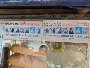 Truth! at Chay Banh Mi - Food Cart in Nha Trang