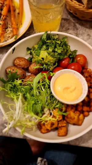 Protein Buddha bowl at Bistro Verde in Copenhagen