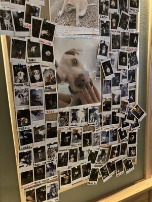   at Bistro Verde in Copenhagen