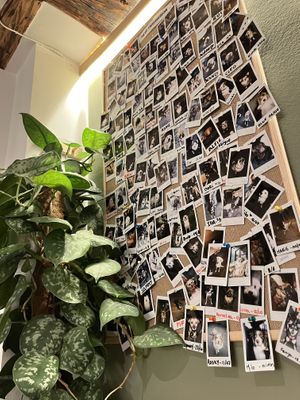   at Bistro Verde in Copenhagen