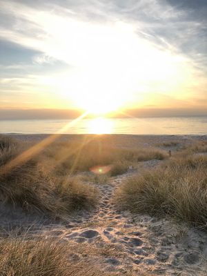 Remember to visit the Beach ☀️ at Kesses Hus in Klitmoeller