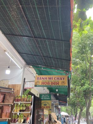   at Tam Hoa Sen in Hoi An