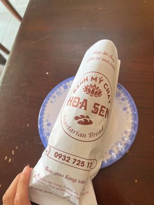  at Tam Hoa Sen in Hoi An