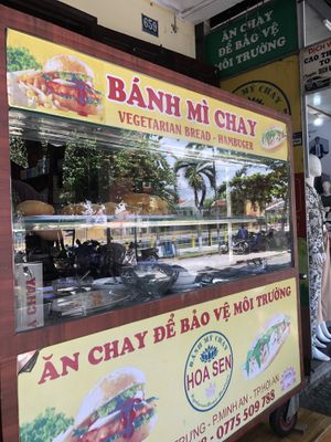   at Tam Hoa Sen in Hoi An