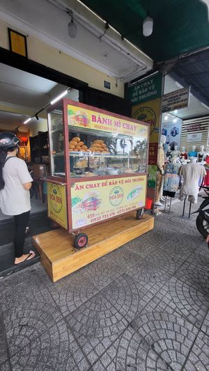  at Tam Hoa Sen in Hoi An