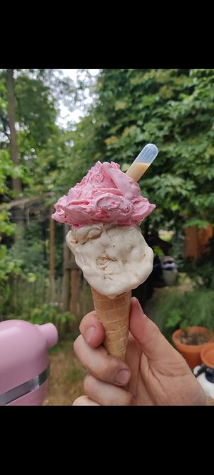 double stacking is not a crime at Brain2Freeze - Extreme Ice Cream in Antwerpen