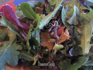 The house salad is just amazing.  Best salad ever.  REALLY. at Go Raw Cafe - Lake East in Las Vegas
