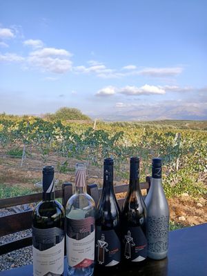  at Lyrarakis Winery in Crete