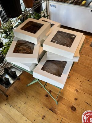 It’s that pie time of year! So many varieties  at Clementine Bakery in Brooklyn