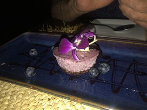 Vegan marble cheesecake. So good!   at Samba Montclair in Montclair