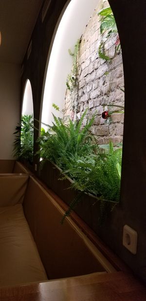 Real plants. at Miss Vegan in Berlin