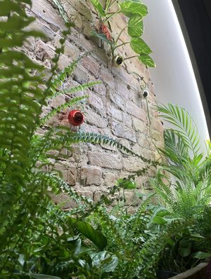   at Miss Vegan in Berlin