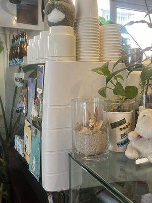  at Café BDRO in Seoul