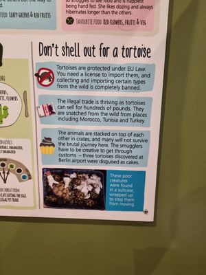 Lots of educational posters around the sanctuary at Monkey Haven in Newport