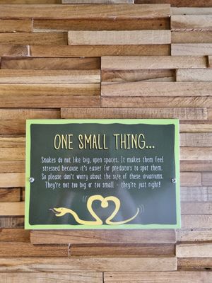 Animal welfare is a priority! at Monkey Haven in Newport