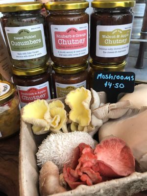 Locally grown mushrooms used in our café  at The Pack Horse Cafe in Bridport