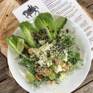 Seasonal salads at The Pack Horse Cafe in Bridport