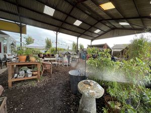   at The Pack Horse Cafe in Bridport