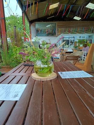  at The Pack Horse Cafe in Bridport