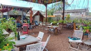  at The Pack Horse Cafe in Bridport