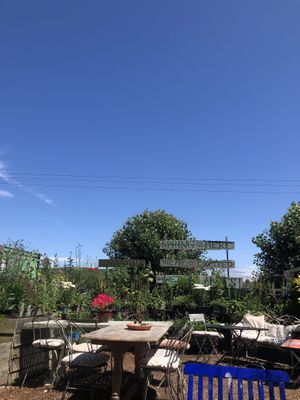   at The Pack Horse Cafe in Bridport