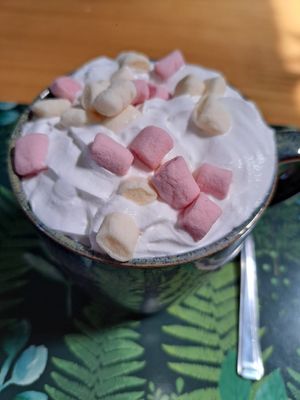  at The New Denver in Cullen