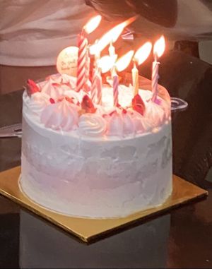 vegan,baby & diabetes friendly red forest birthday cake (3 inch height, 5inch diameter) $60 at Delcie's Desserts and Cakes in Central Singapore