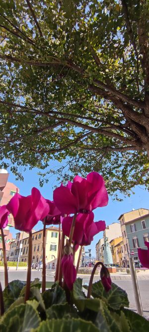  at DONAMALINA San Jacopino in Florence