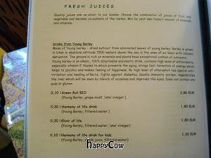 Another part of the menu - some of the great fresh juices. at Good Five in Bratislava