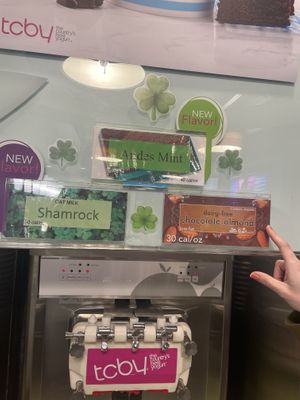 2 vegan flavors   at TCBY in Fort Collins