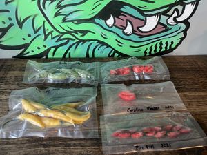   at Tacos del Sol in Ambleside