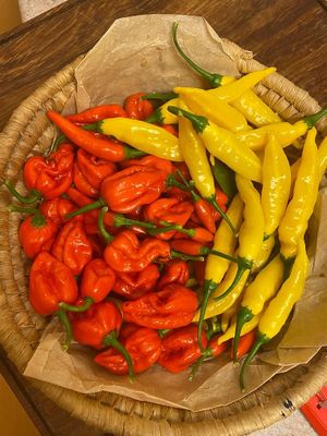   at Tacos del Sol in Ambleside